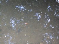 Wülfingersde 3 1421